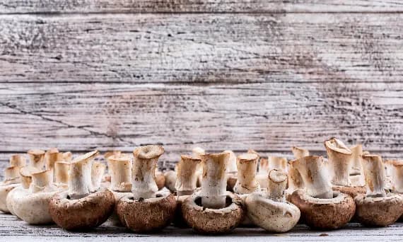 Co oznacza sen o zbieraniu grzybów? Odkryj jego ukryte znaczenie