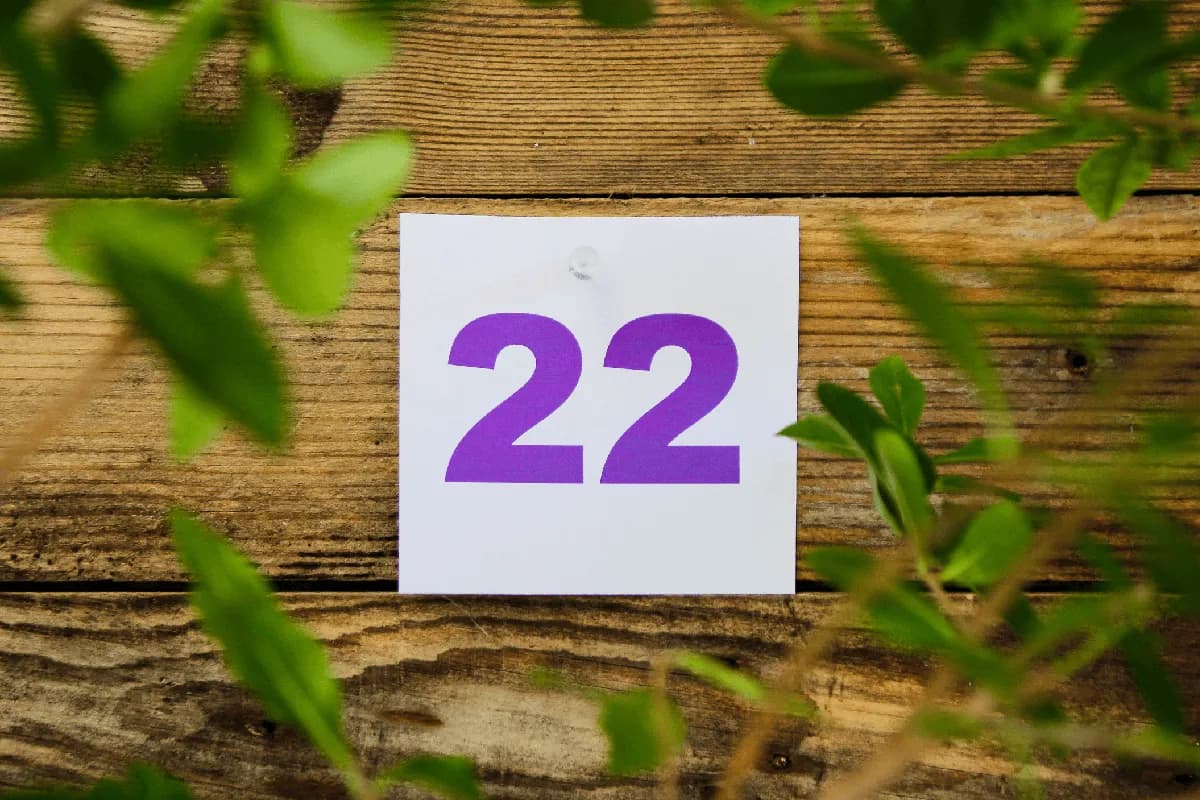Liczba Mistrzowska 22 - Numerologia 22 - Znaczenie i Wpływ