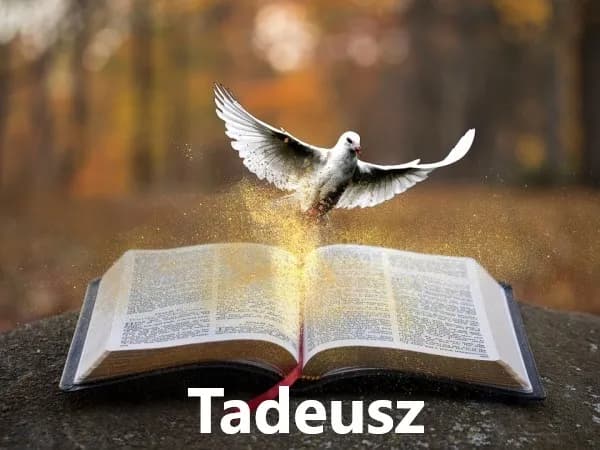 Imię Tadeusz: znaczenie, pochodzenie, charakter