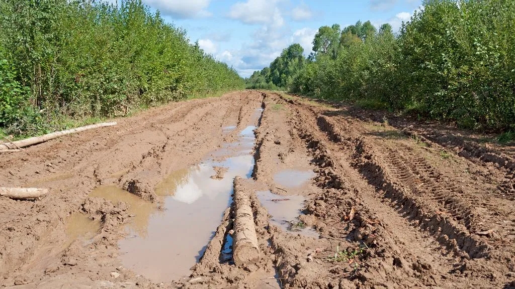 Sen o błocie co oznacza? Odkryj jego ukryte znaczenie i symbolikę